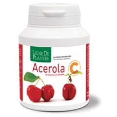 acerola bio 60 cps mast.n-s