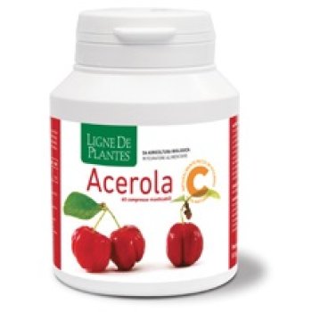 acerola bio 60 cps mast.n-s