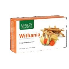 withania 60 cps nse