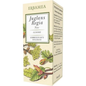 juglans regia noce bio 50ml