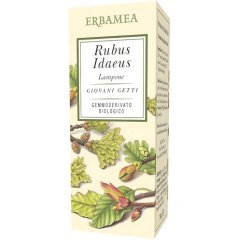 rubus idaeus lampone 50ml