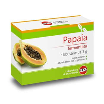 papaia fermentata 16bust