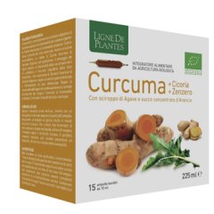 curcuma 15 amp.15ml nse