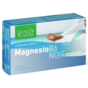 magnesio b-6 nuit 72cps