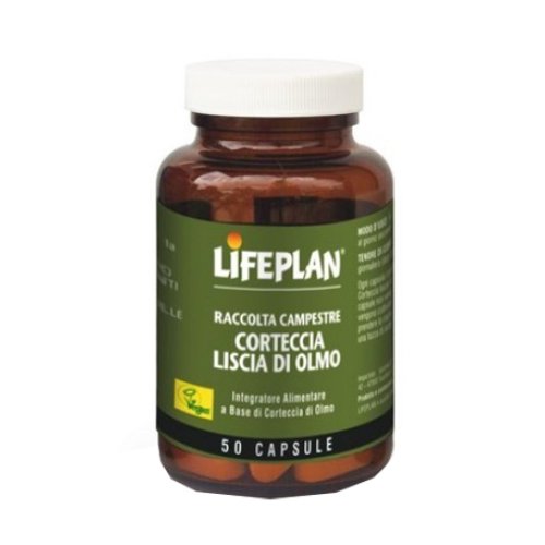 CORTECCIA OLMO 50CP LIFEPLAN