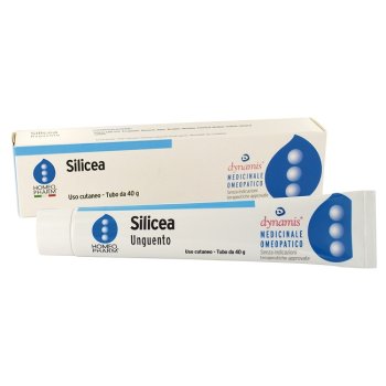silicea homeopharm ung 40g