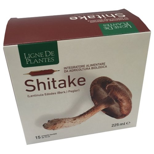 LIGNE SHITAKE BIO 15AMP 15ML