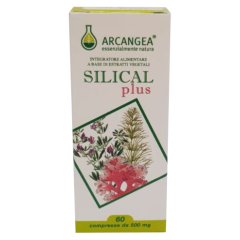 silical plus 60cpr