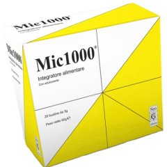 mic 1000 20bust