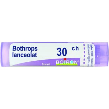 bo.bothrops lanceolatus 30ch g