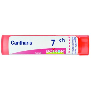 bo.cantharis 7ch tubo