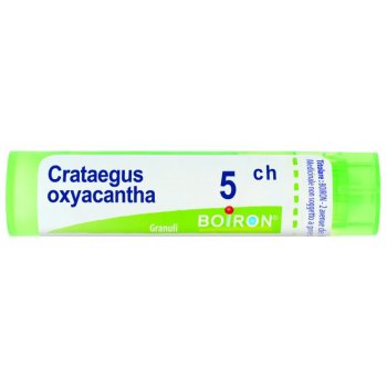 bo.crataegus oxyacantha5ch