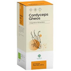 cordyceps 90cps gheos