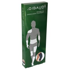 gibaud-ort.artigib3d*ginocc.2