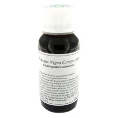 43n populus nigra comp lvs