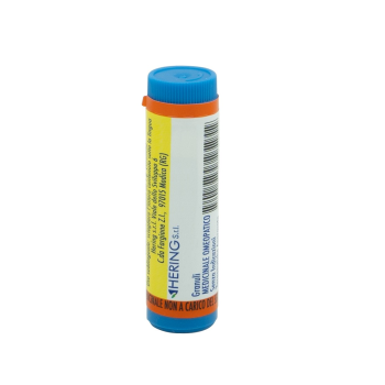 arnica montana*1000ch gr 1g