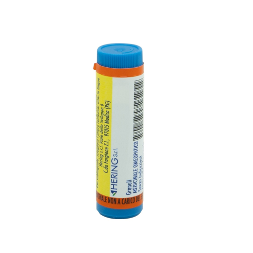 ARNICA MONTANA*9CH GR 1G