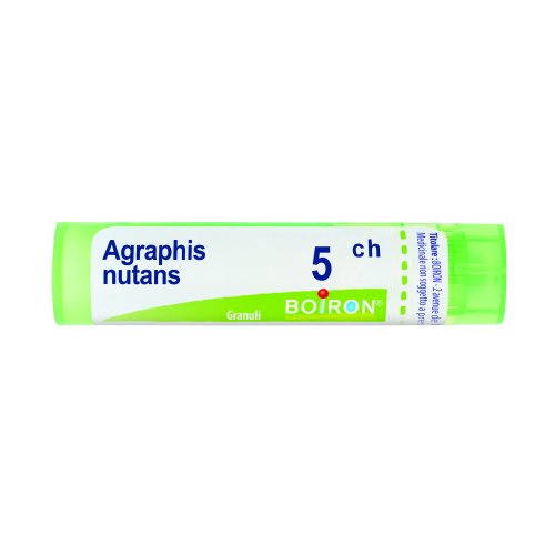 AGRAPHIS NUTANS*5CH 80GR 4G