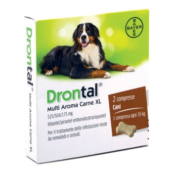 drontal multi ar carne xl*2cpr