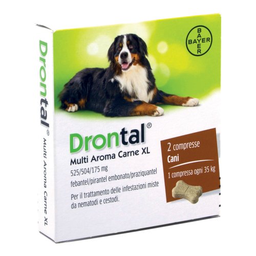 Drontal Multi Ar Carne Xl*2cpr