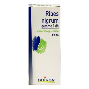 ribes nigrum gemme macerato glicerico 60ml