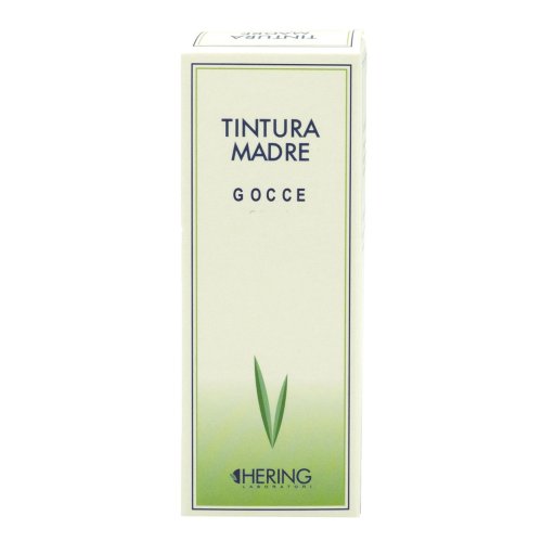 GINKGO BILOBA 60ML TM