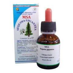 msa sequoia gigantea 50ml