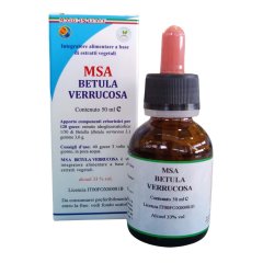 msa betula verrucosa 50ml