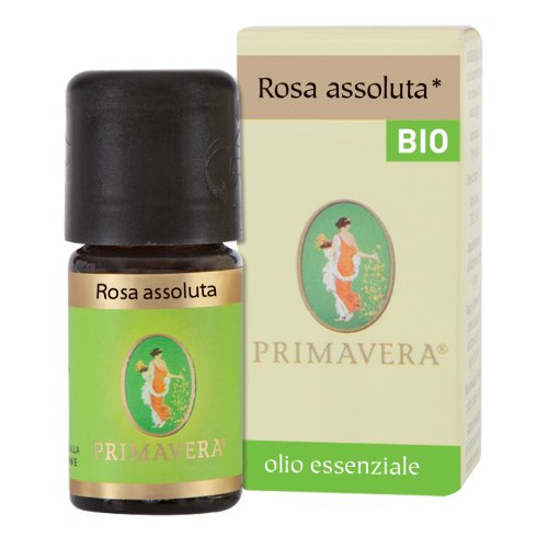 ROSA TURCA ASS CONV OLIO ES FLOR