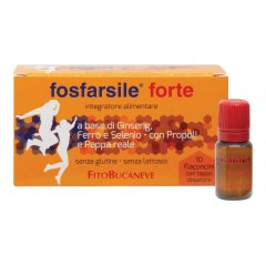 fosfarsile fte int 10 flni