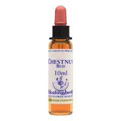 chestnut bud ess 10ml ingl her