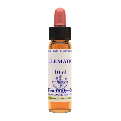 CLEMATIS ESS 10ML INGL HERBS