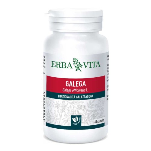 GALEGA 60CPS 350MG ERBAVITA