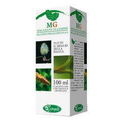 lampone 100ml gm