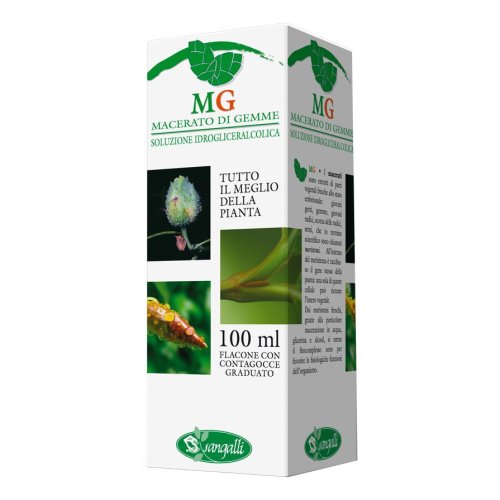 VITE 100ML MG