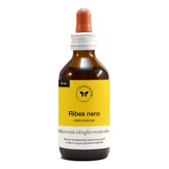 ribes gemme 100ml mg