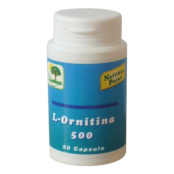 l-ornitina 50 cps n-p