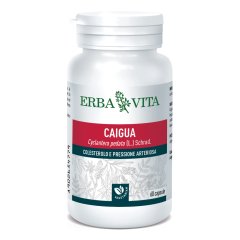 caigua 60cps 400mg ebv