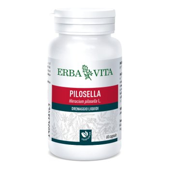 pilosella 60cps 400mg ebv