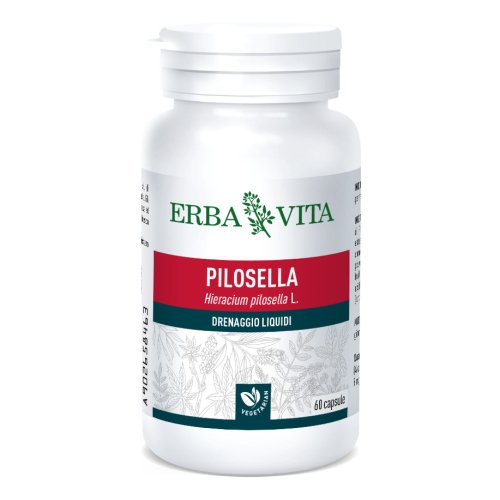 PILOSELLA 60CPS 400MG EBV