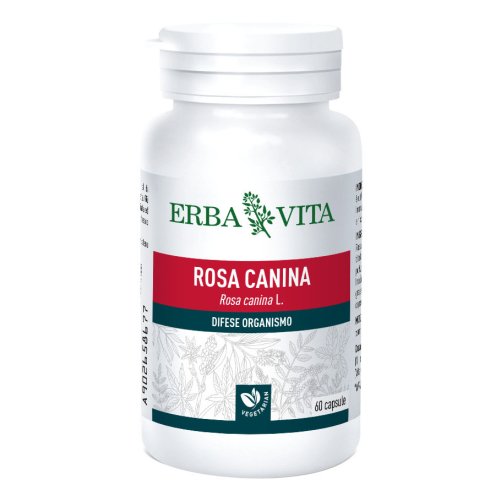 ROSA CANINA 60CPS 400MG EBV