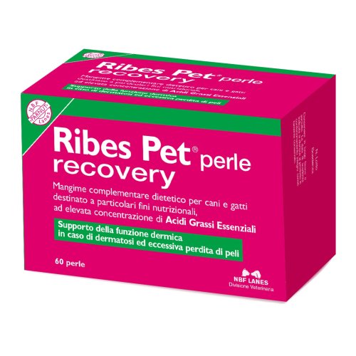 RIBES-PET RECOVERY 60PRL
