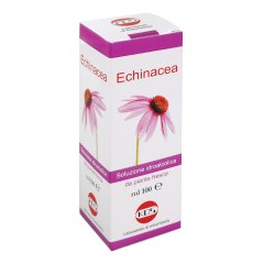 echinacea sol ial pianta fr100