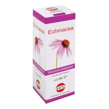 echinacea sol ial pianta fr100