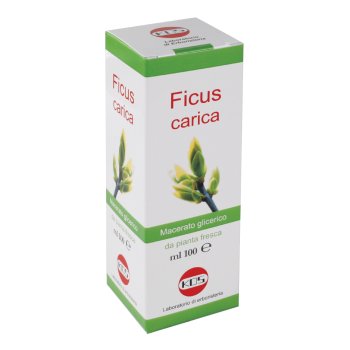 ficus carica mg 100ml gtt
