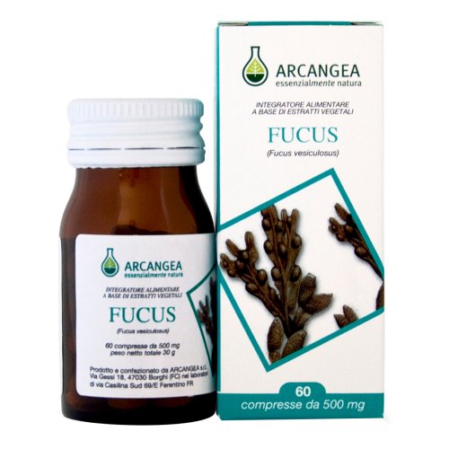 FUCUS 60 Cps 500mg ACN