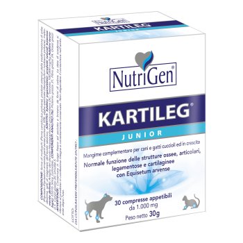 kartileg junior 1g 30 tav.