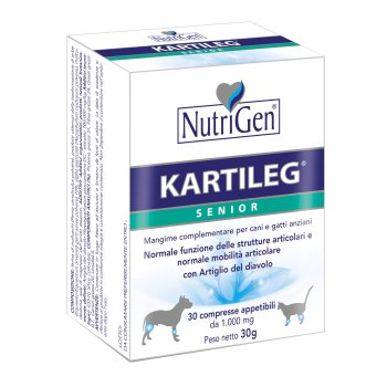 kartileg senior 1g 30 tav.