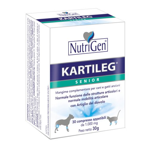 KARTILEG Senior 1g 30 Tav.