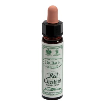 ainsworths red chestnut 10ml